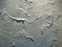 GROBI KIT 2
